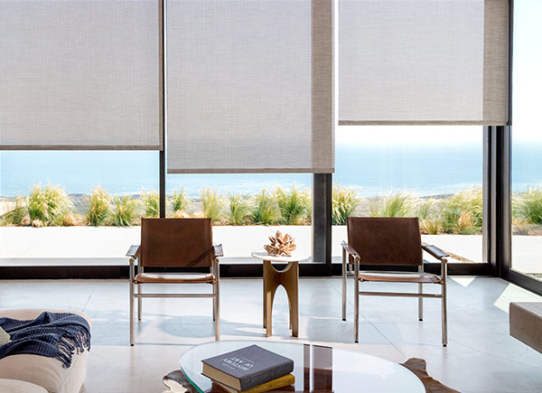 image-816688-03-2019DesignerRollerShades-600x435-6512b.jpg